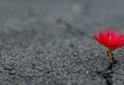 resilience feature